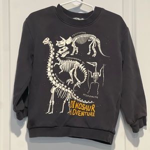 3/4 T Dino Adventure thin sweatshirt H&M